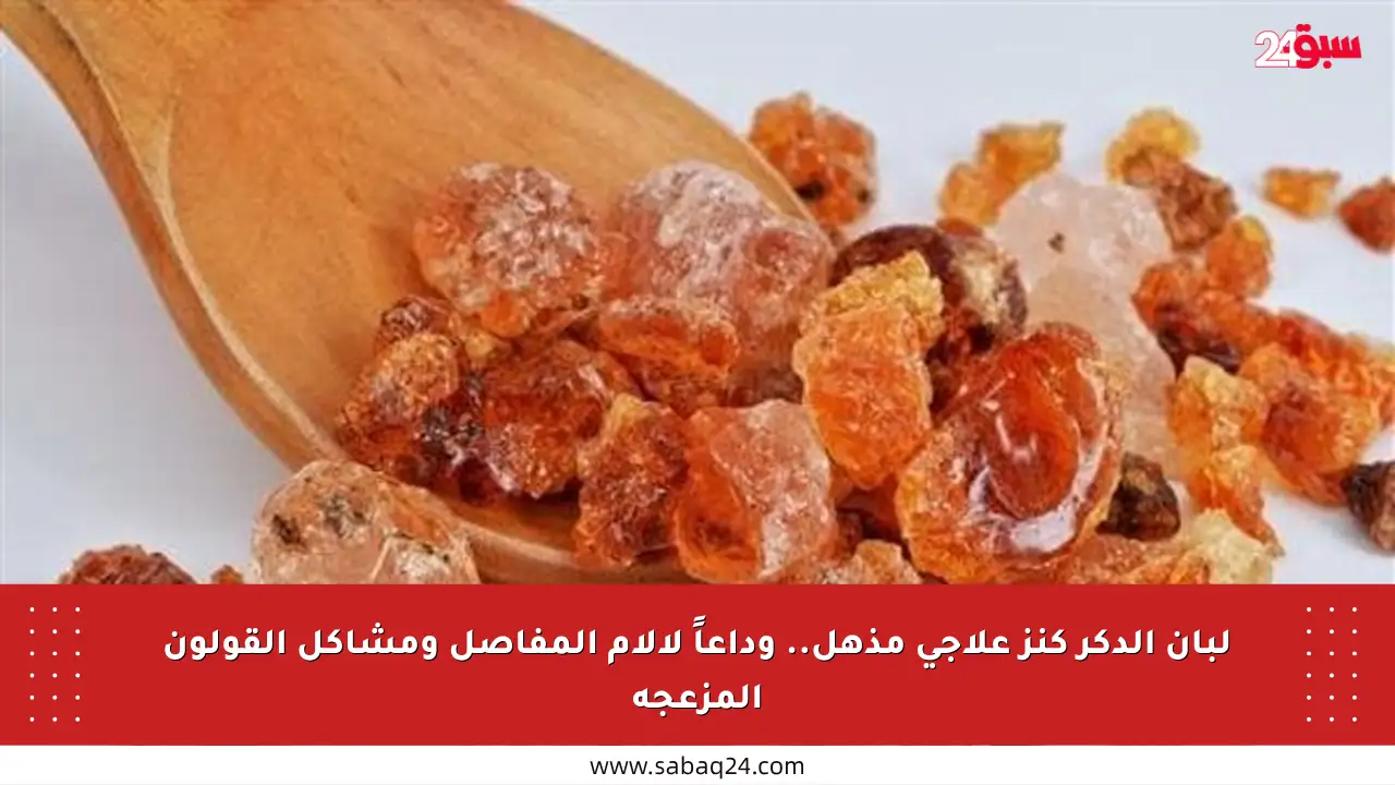 لبان الدكر كنز علاجي مذهل.. وداعاً لآلام المفاصل ومشاكل القولون المزعجة